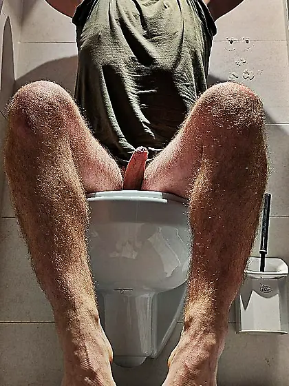 Andy Gymnast toilet rest stop lust 37