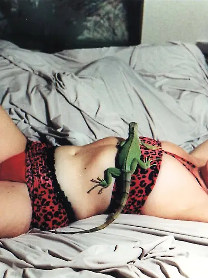 Sunshine's Casting-S1