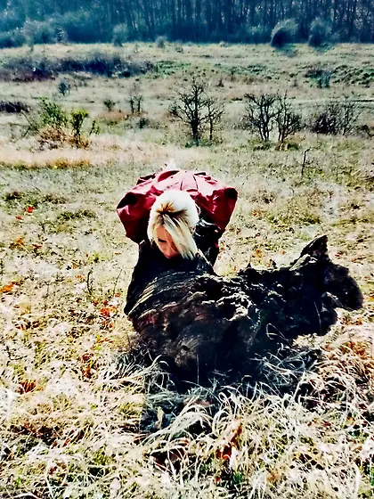 Execution in the forest