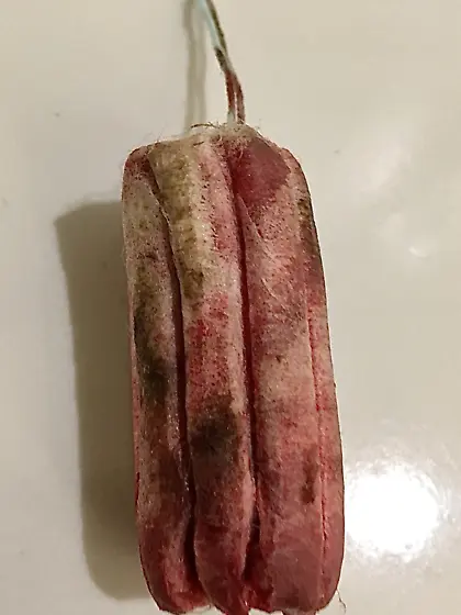 Gallery of used tampons of a hardcore fetish model