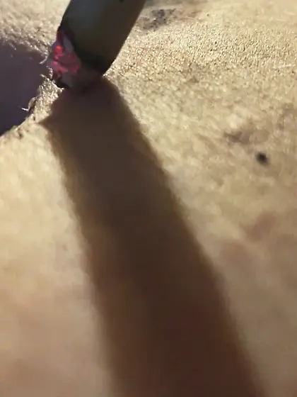 Piggy ashtray and human punching bag session