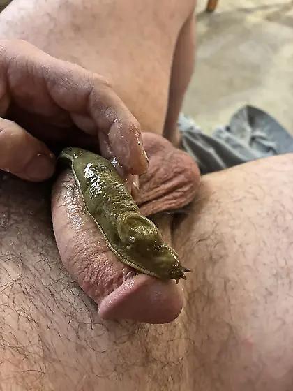 Big slug on my cock