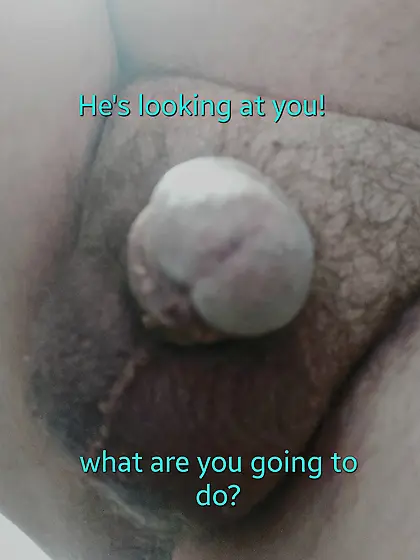 Family album cuck style