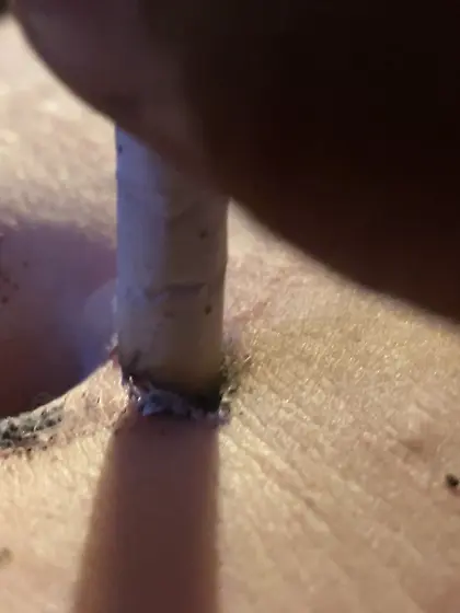 Piggy ashtray and human punching bag session