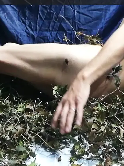 柊の葉の棘に感じている