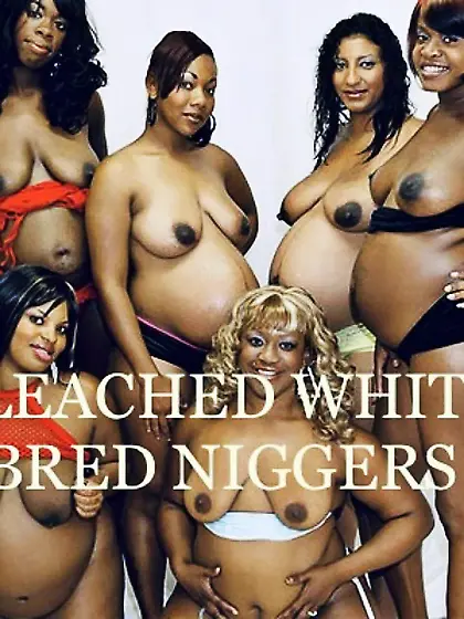 Make Niggers slaves again