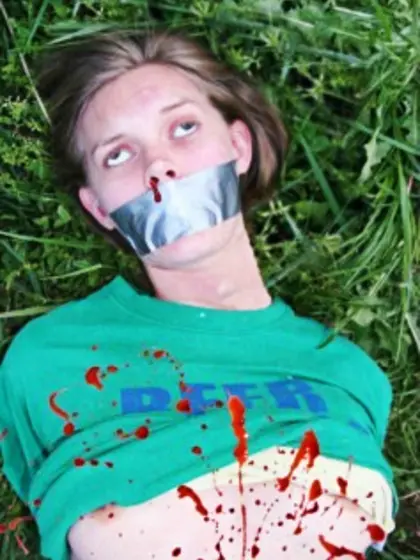 Katie's Pitchfork Nightmare