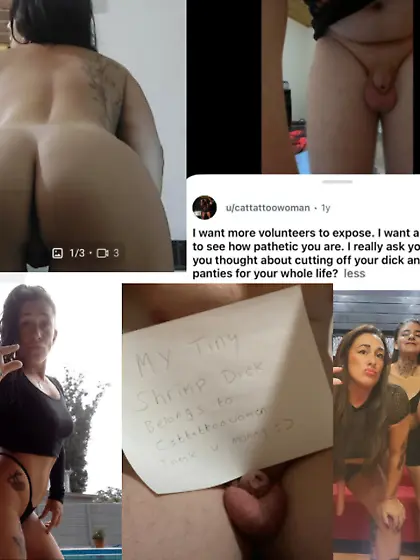 Tiny cock exposure by Goddess