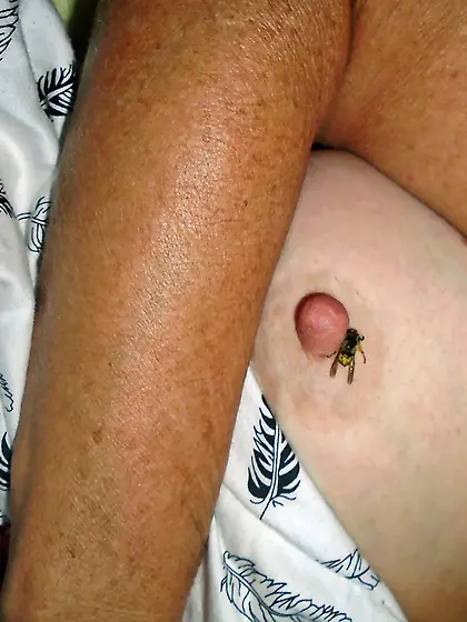 After a hard Day and they won't go away