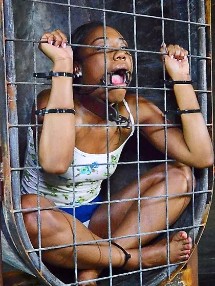 Make Niggers slaves again