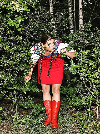 Little Red Riding Hood,