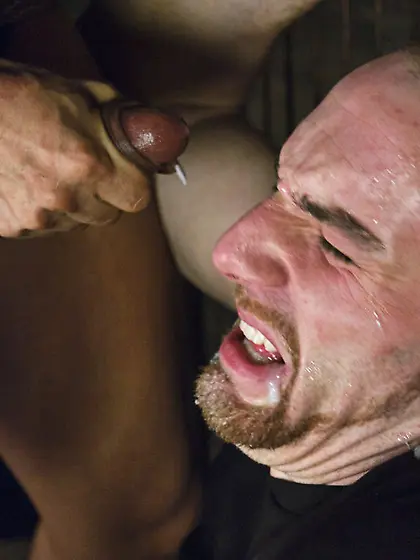 Sexual orgy hot she-males