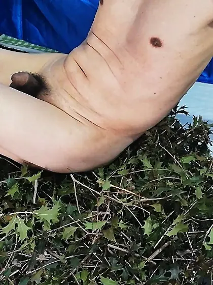 柊の葉の棘に感じている