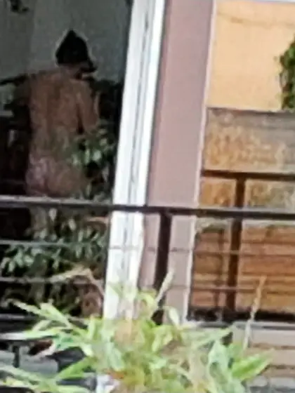 Jeune voisine qui bronze