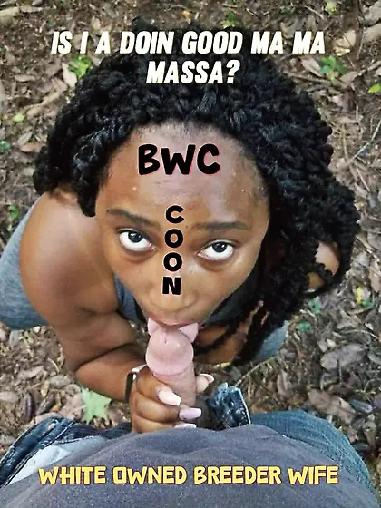 Make Niggers slaves again