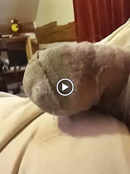 For Blackmail of Scott Brewster