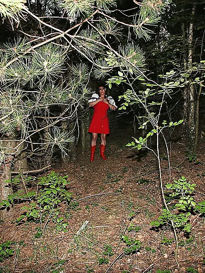 Little Red Riding Hood,