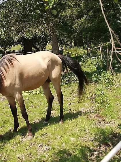 Marilyn B and Sue A pics