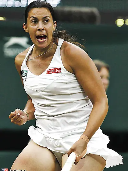 Marion Bartoli (wooly upskirt)