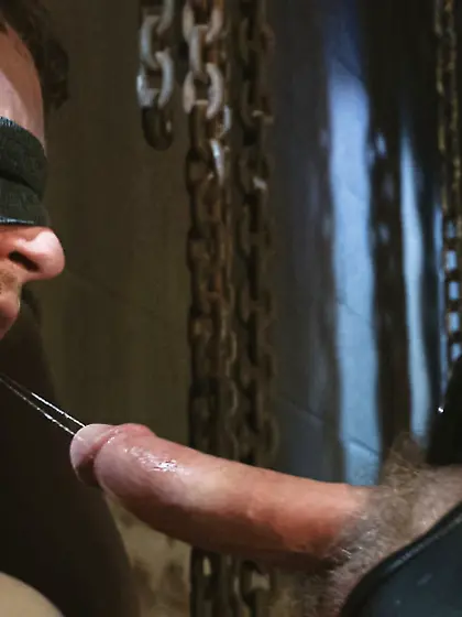 Gagged bound male stud