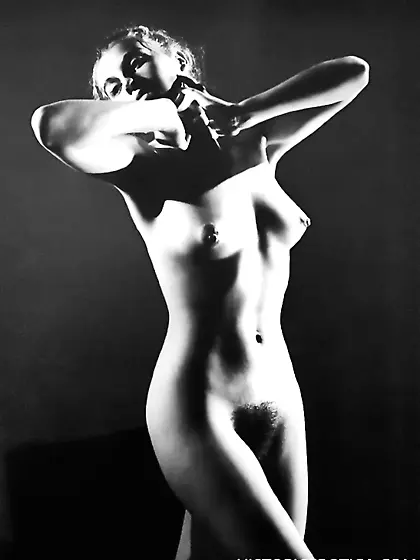 Seductive vintage vixens posing