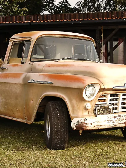 Lone Star Savanah Gold