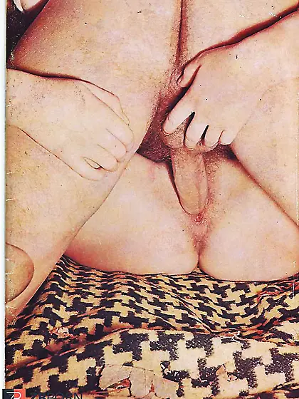 Pan Orgy - Vintage Mag