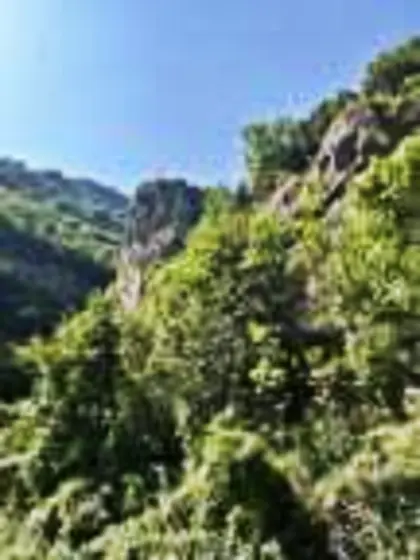 u/petitebutterface u/tinypeachpuff u/ peachpuff