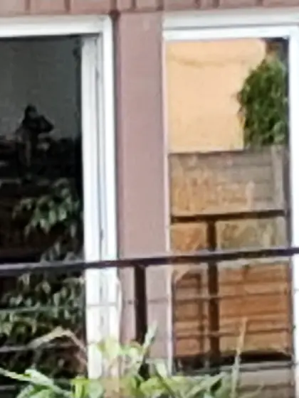 Jeune voisine qui bronze