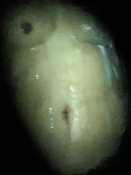 Espiando bañándose la mamá de mí prima puta