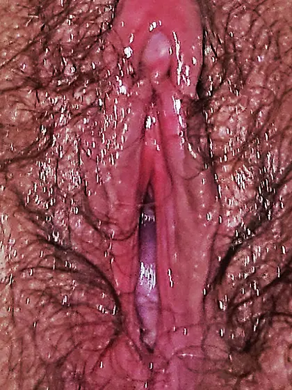 Wife Pussy