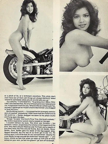 The Best of Paula Ann Wood