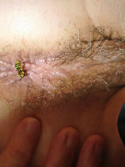 After a hard Day the bugs won't go away 2