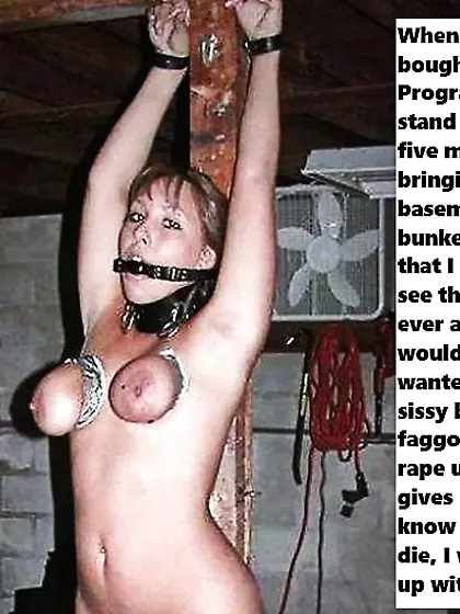 sissystephanie's dreams of slaverly