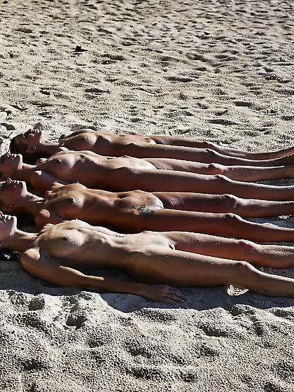 Coxy and Flora and Thea and Zaika sunbathe.