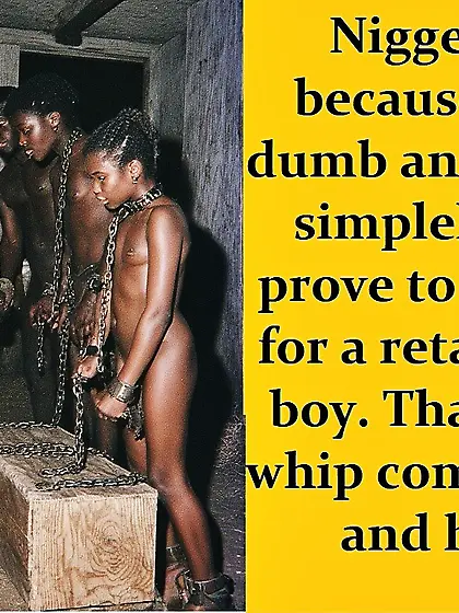 Blacks Are Lazy And Stupid