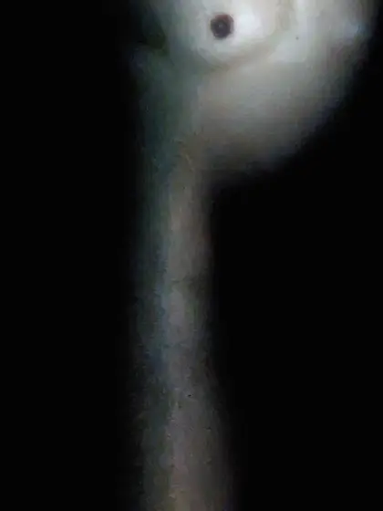 Espiando bañándose la mamá de mí prima puta