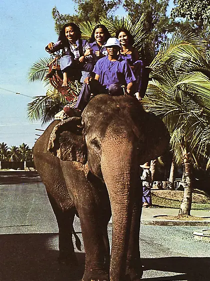 Elephant riding babes fucked