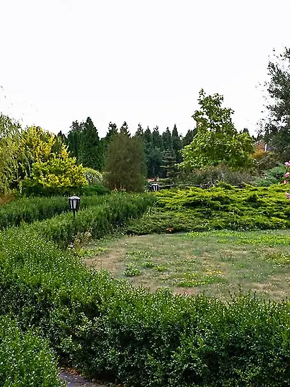 Sexy outdoor setting man