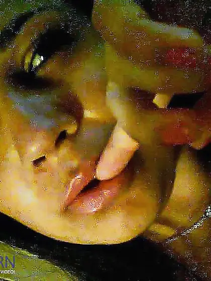 My Mate Peituda Safada Indian from Rio de janeiro