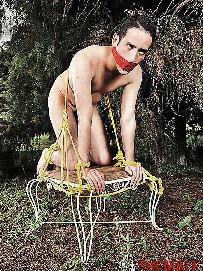 Cock loving guy in gangbang action