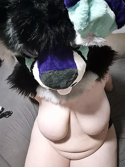Murrsuiter in Heat