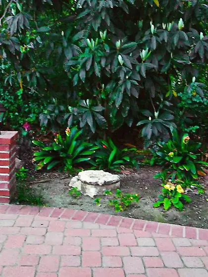 Blondy fairy plaits enjoy