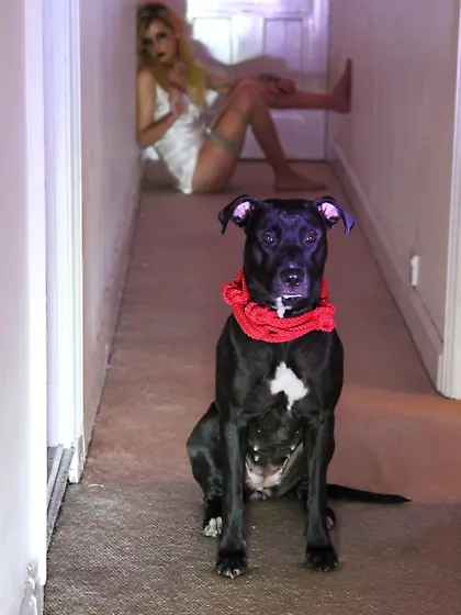 Busty brunette hoochie black