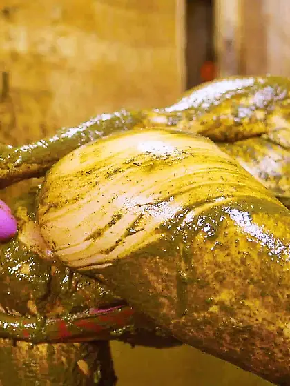 Rada Brewer: Filling My Swimsuit