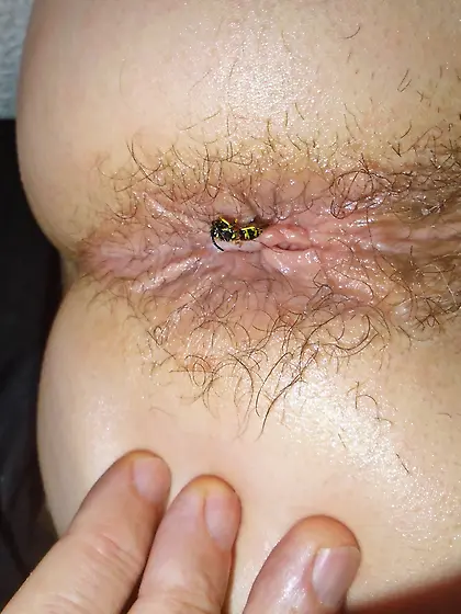 After a hard Day the bugs won't go away 2