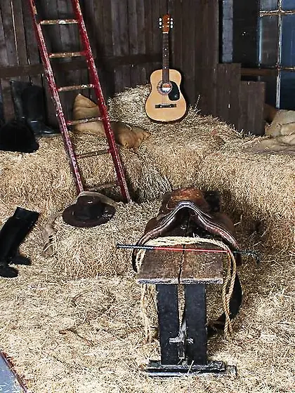 Mature plomper takes blue