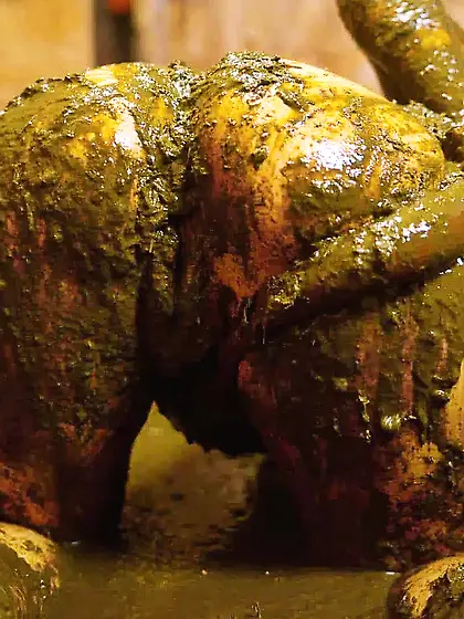 Rada Brewer: Filling My Swimsuit