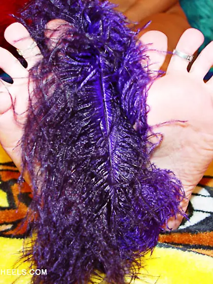 Chastity - Feet,  Scooby and feather