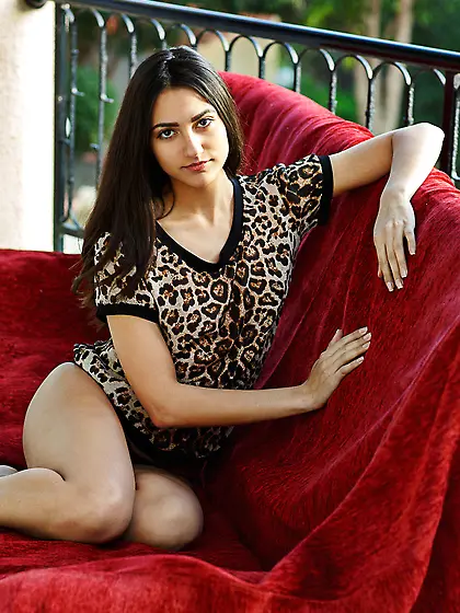 Exotic brunette takes off her leopard print top and poses naked